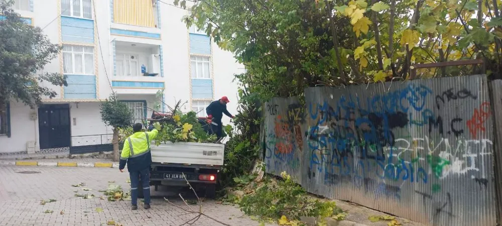 PARK VE BAHÇELERDE KIŞ BAKIMI ÇALIŞMALARI DEVAM EDİYOR