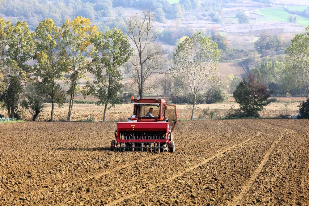 Büyükşehir’in hibeli tohumları toprakla buluştu