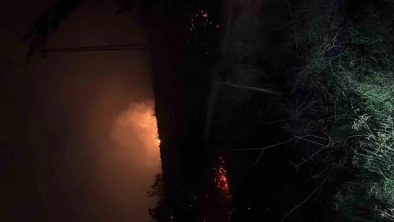 Hatay’da çıkan  otluk yangını söndürüldü
