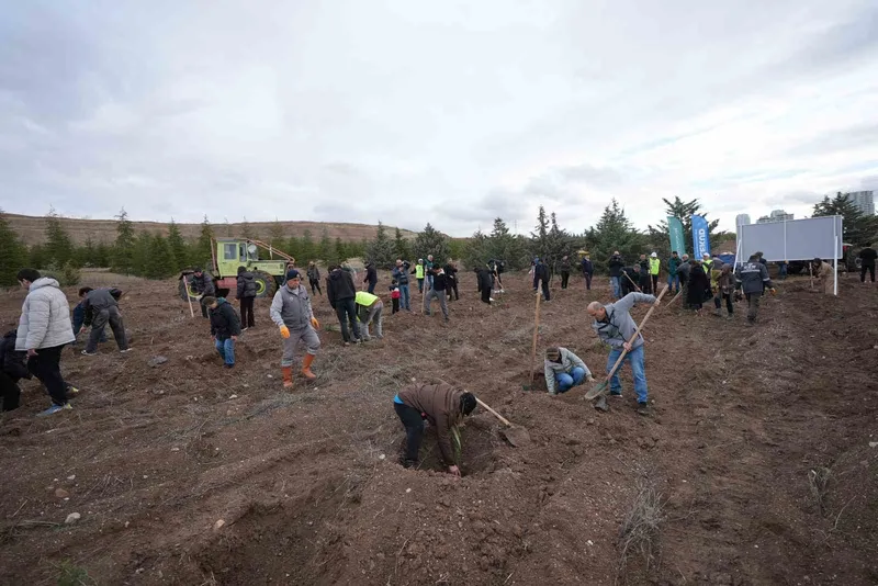 TUSAŞ şehitleri anısına binlerce fidan toprakla buluştu

