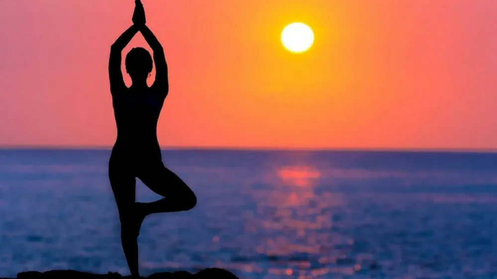 Meditatif.net: Bedenini ve Zihnini Yeniden Keşfet