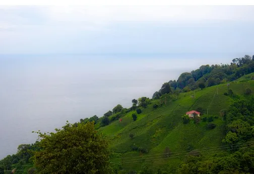 Karadeniz